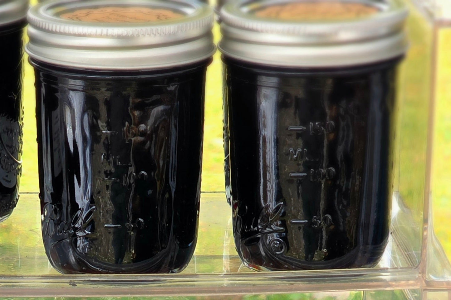 Elderberry honey