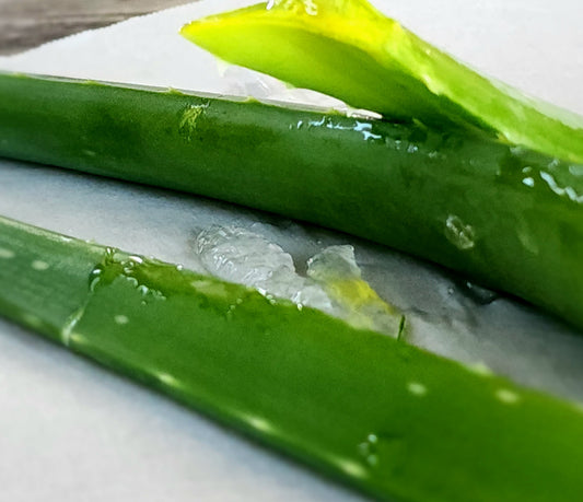 Aloe Compress