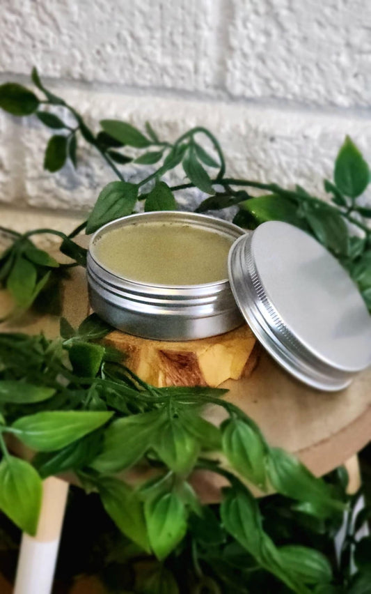 Four Sacred Medicine Salve