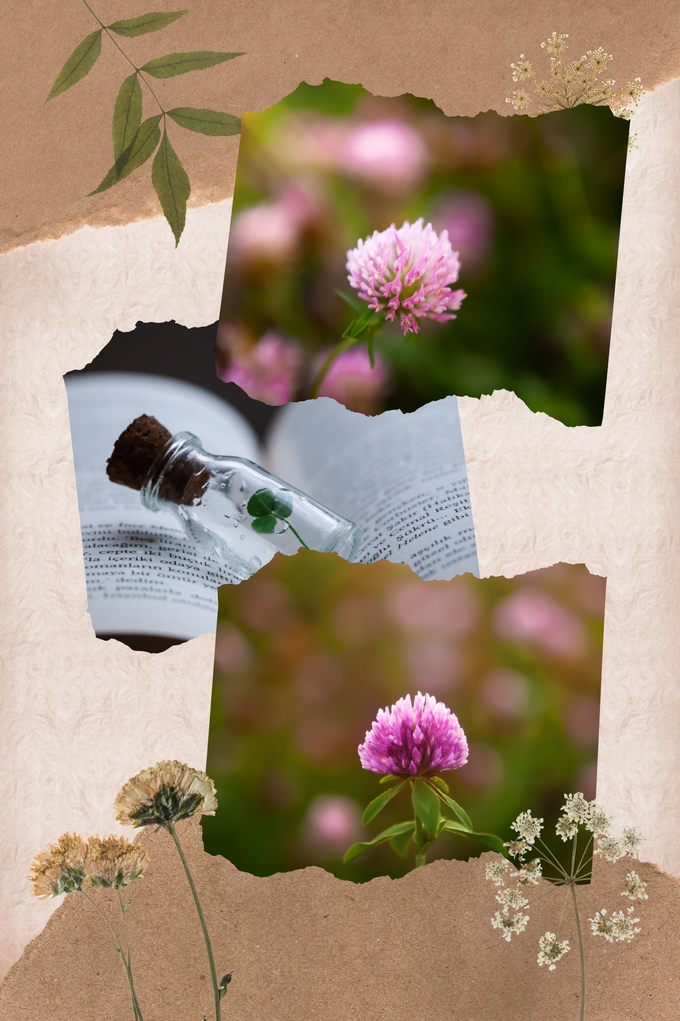 Red Clover Liniment